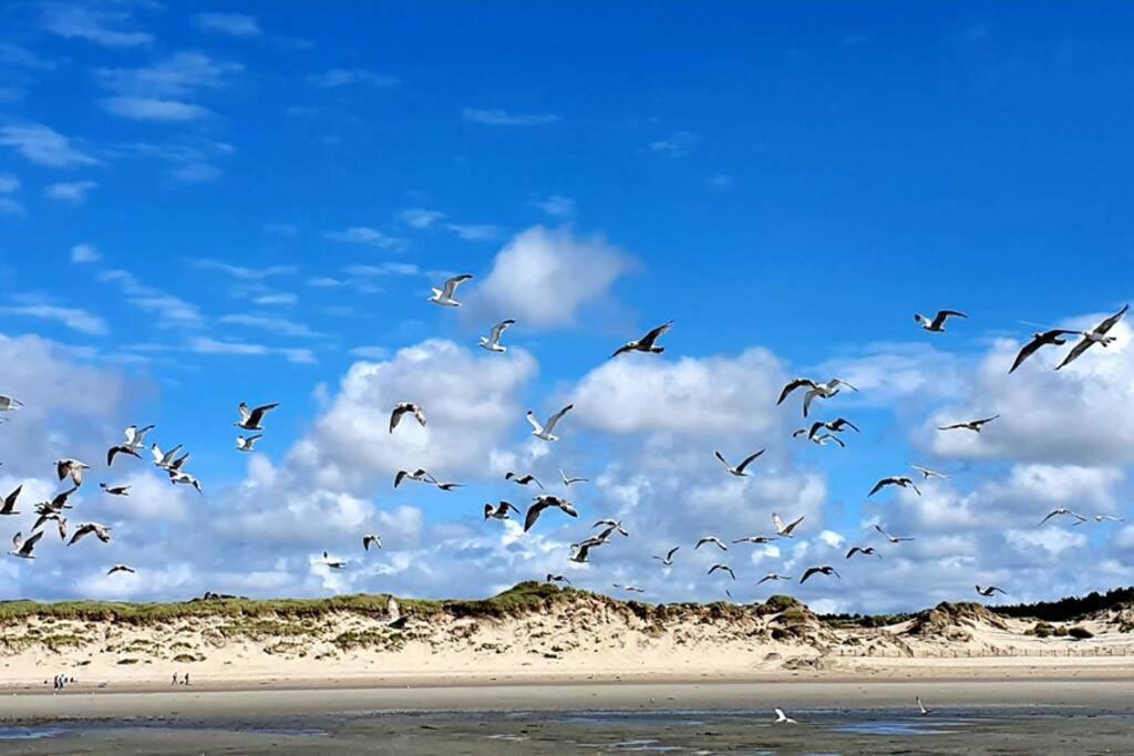 La Cabane Des Dunes A Fort-Mahon Plage Exterior foto